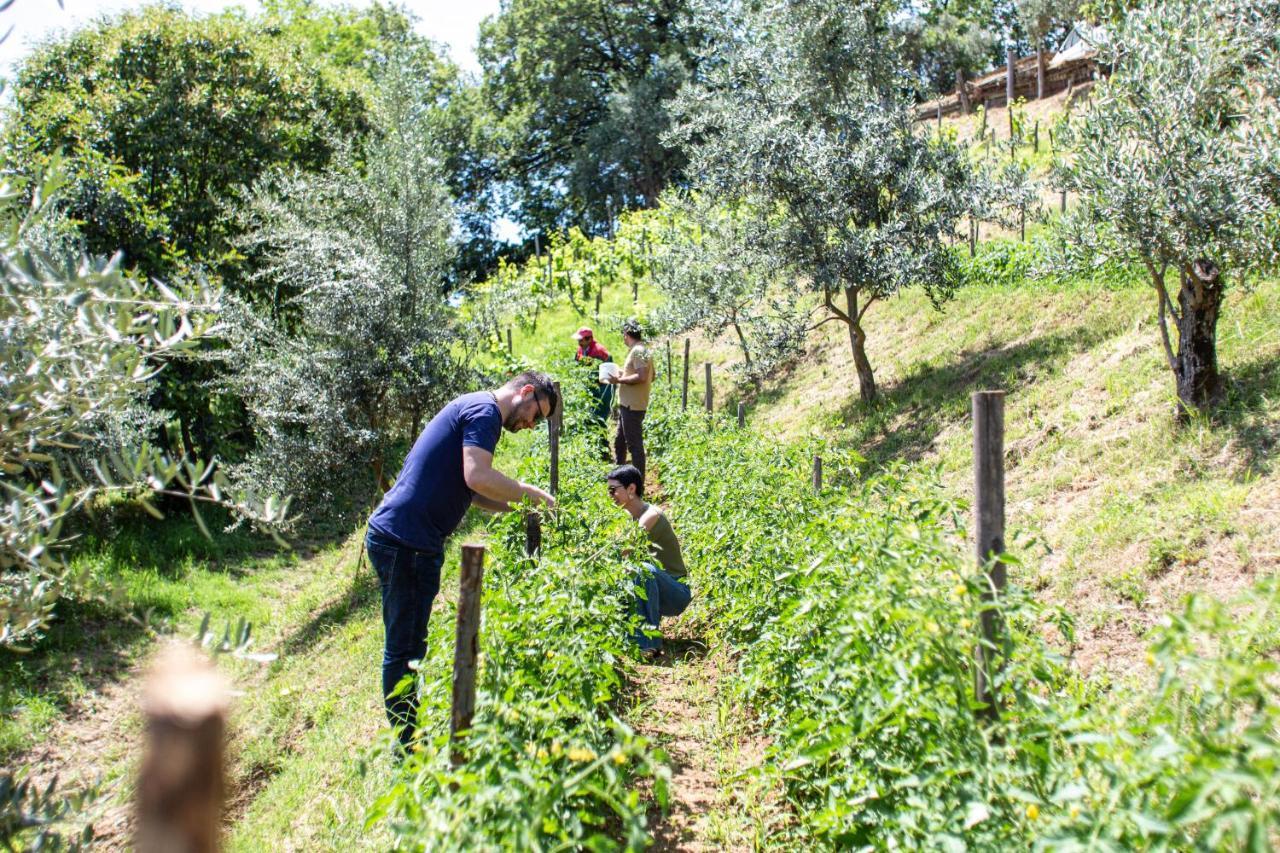 Home 4 Creativity - Coliving Calabria Montalto Uffugo Exterior foto